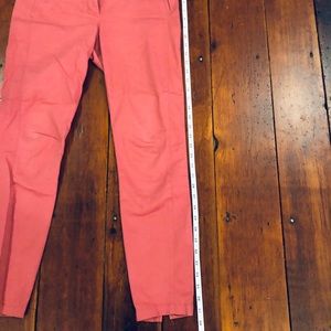 Loft Ankle Pants